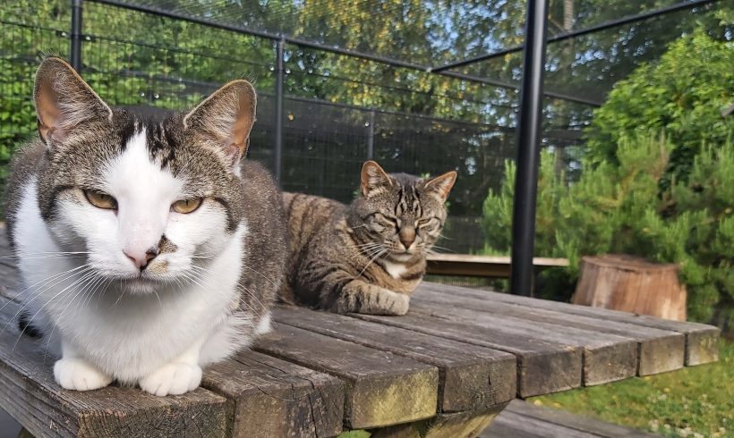 Nieuwe website online!